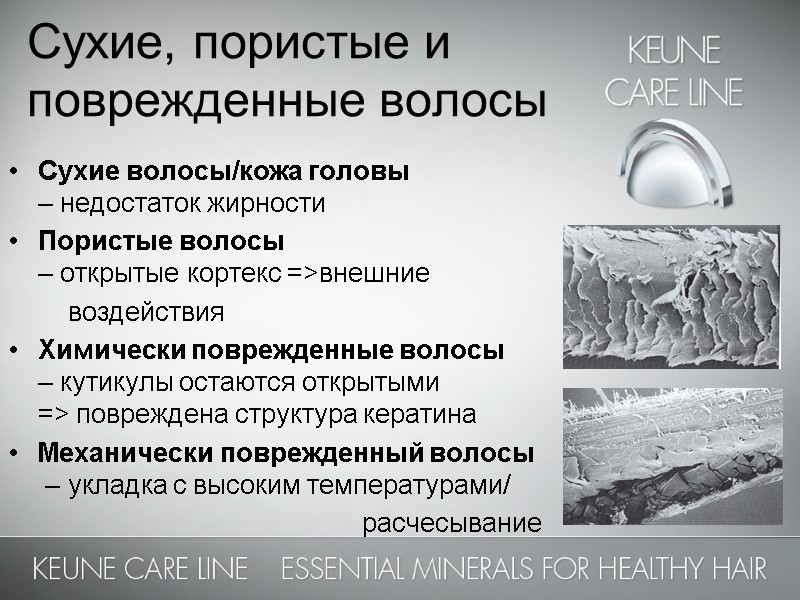 Сухие, пористые и поврежденные волосы Сухие волосы/кожа головы  – недостаток жирности Пористые волосы